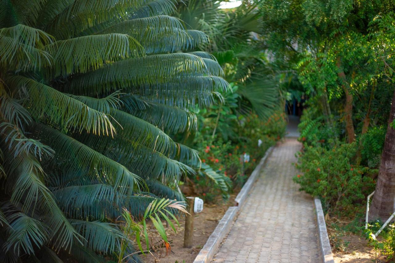 Pousada Vivenda Da Terra Hotel São Miguel do Gostoso Exterior foto